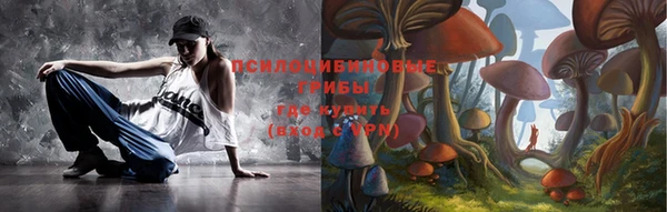 a pvp Белокуриха