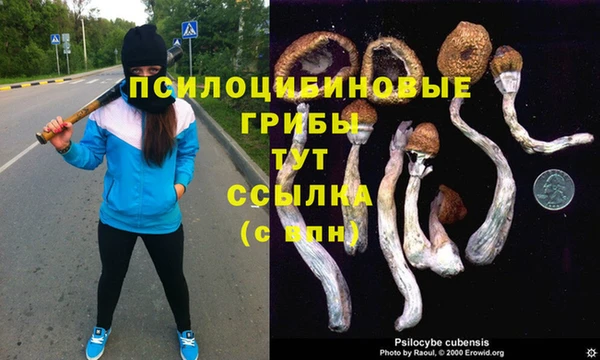 гашик Нефтегорск